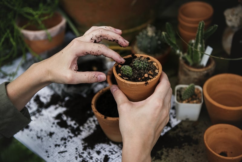 Spring Vertical Garden Care