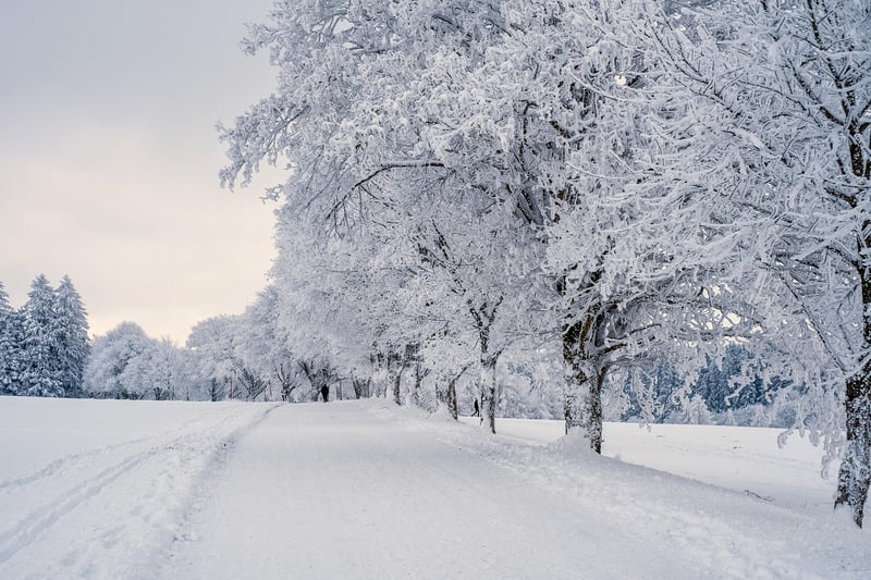 Winter Vertical Garden Care